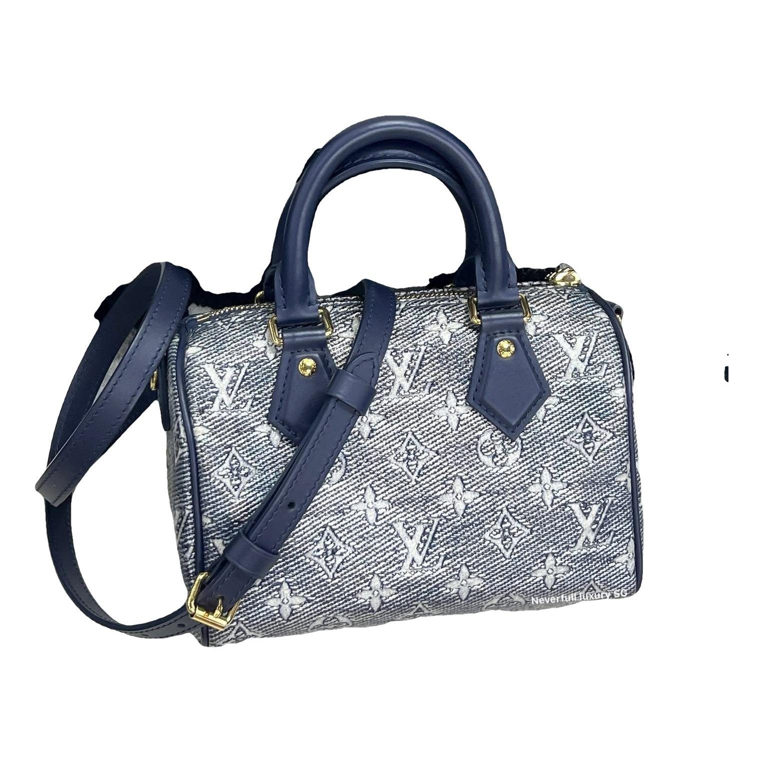 Louis Vuitton Nano Speedy / Mini HL leather crossbody bag