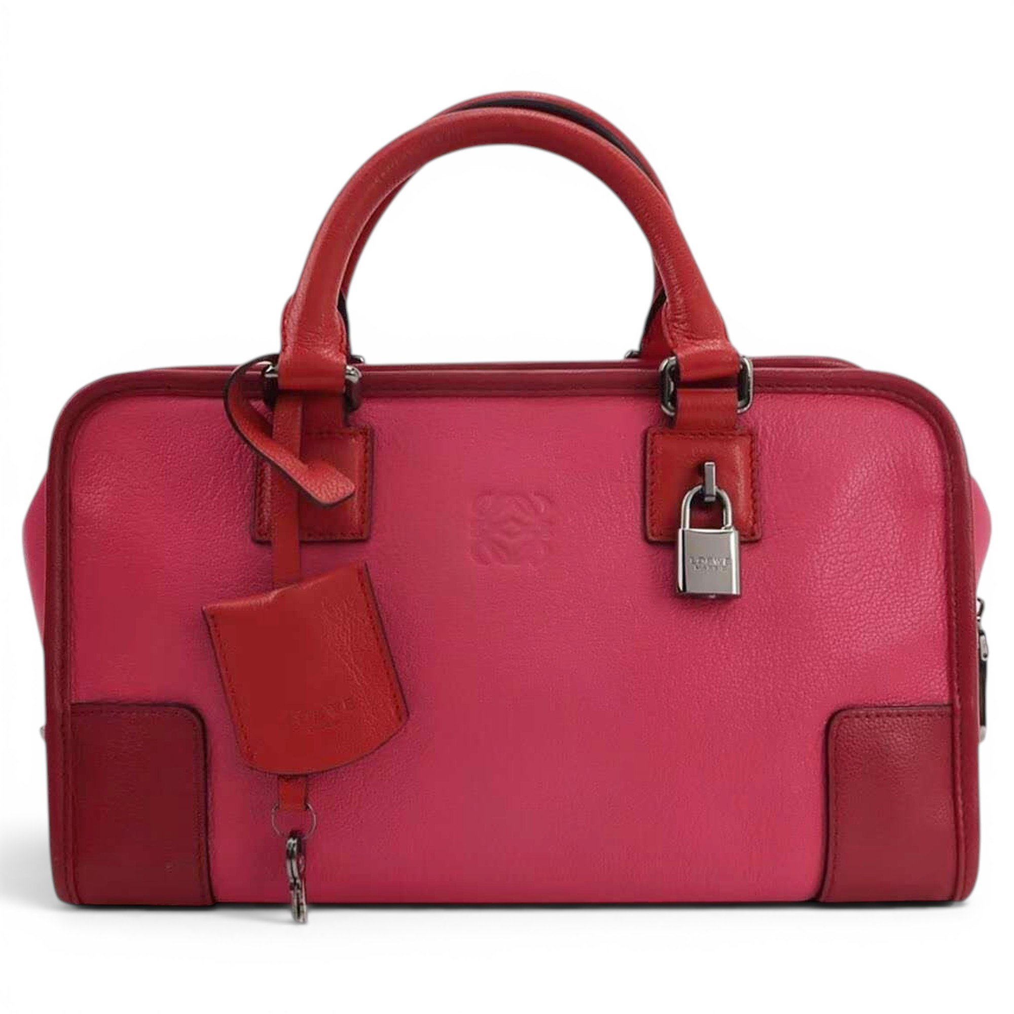 Amazona leather handbag