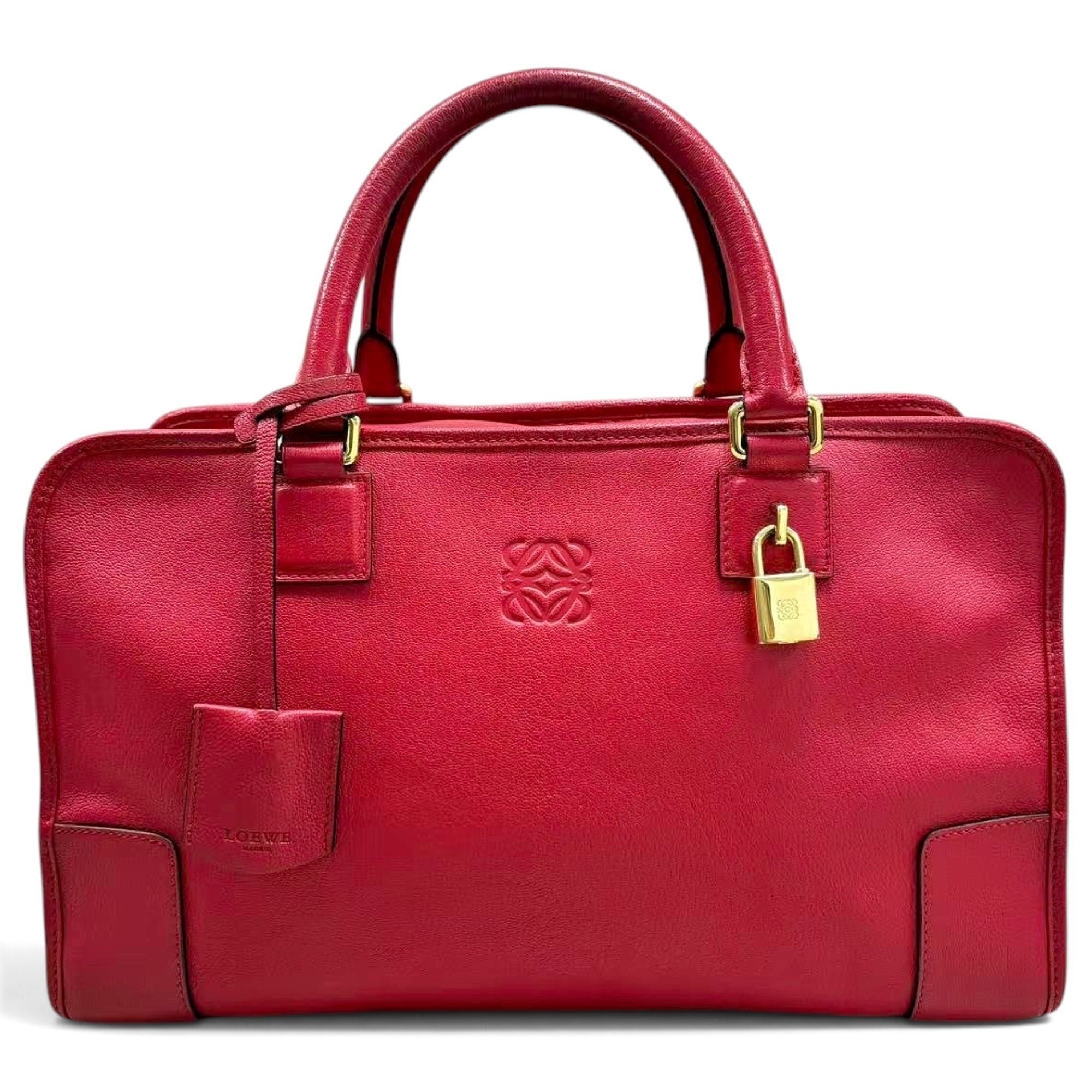 Amazona leather handbag