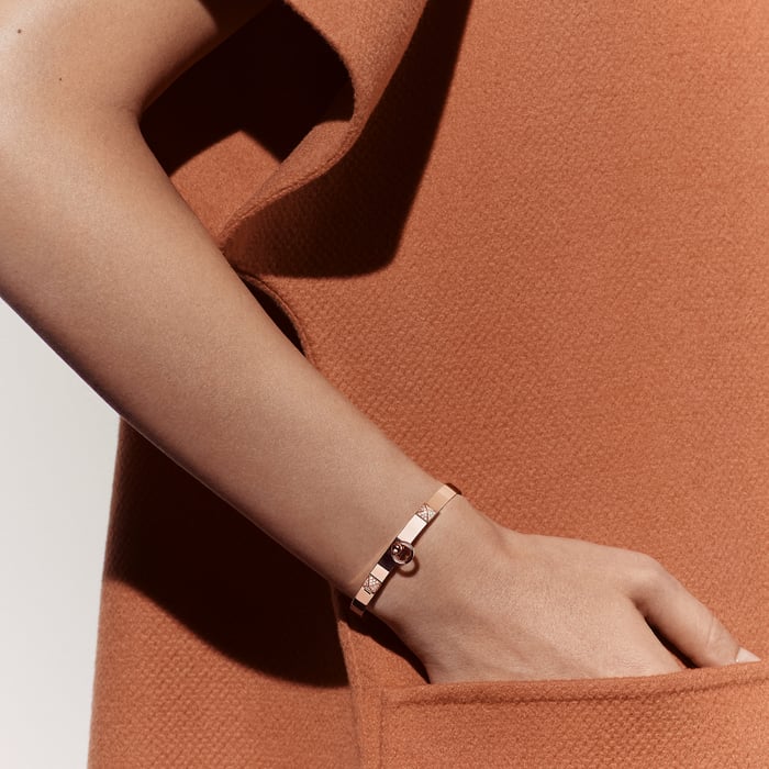 Sans Coloris Collier De Chien Bracelet, Small Model