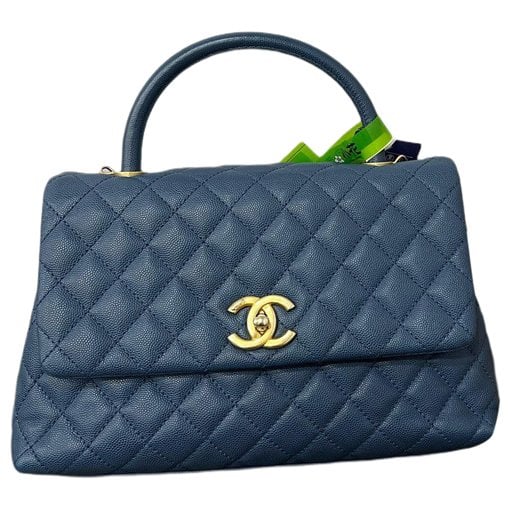 Coco Handle leather handbag