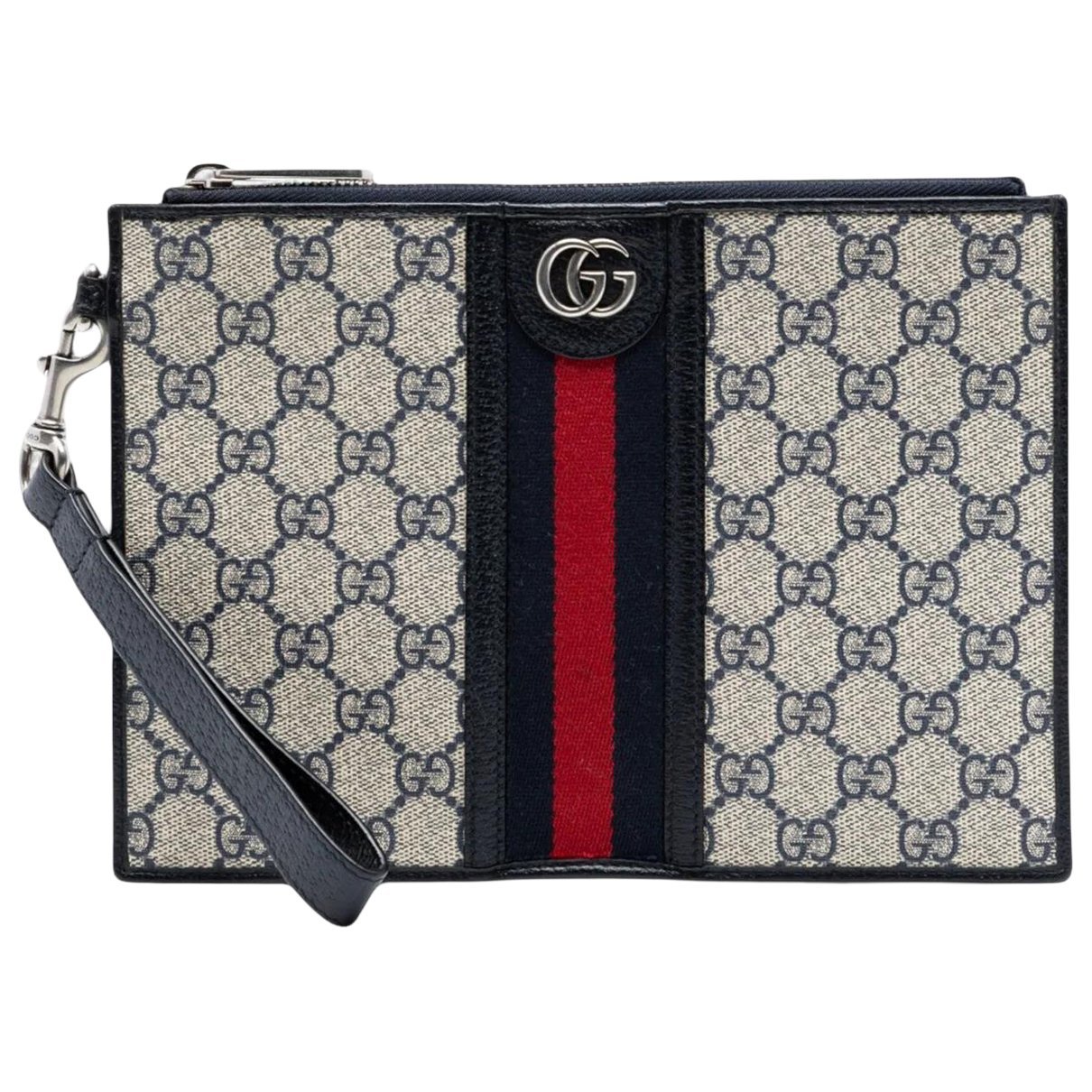 Ophidia cloth clutch bag