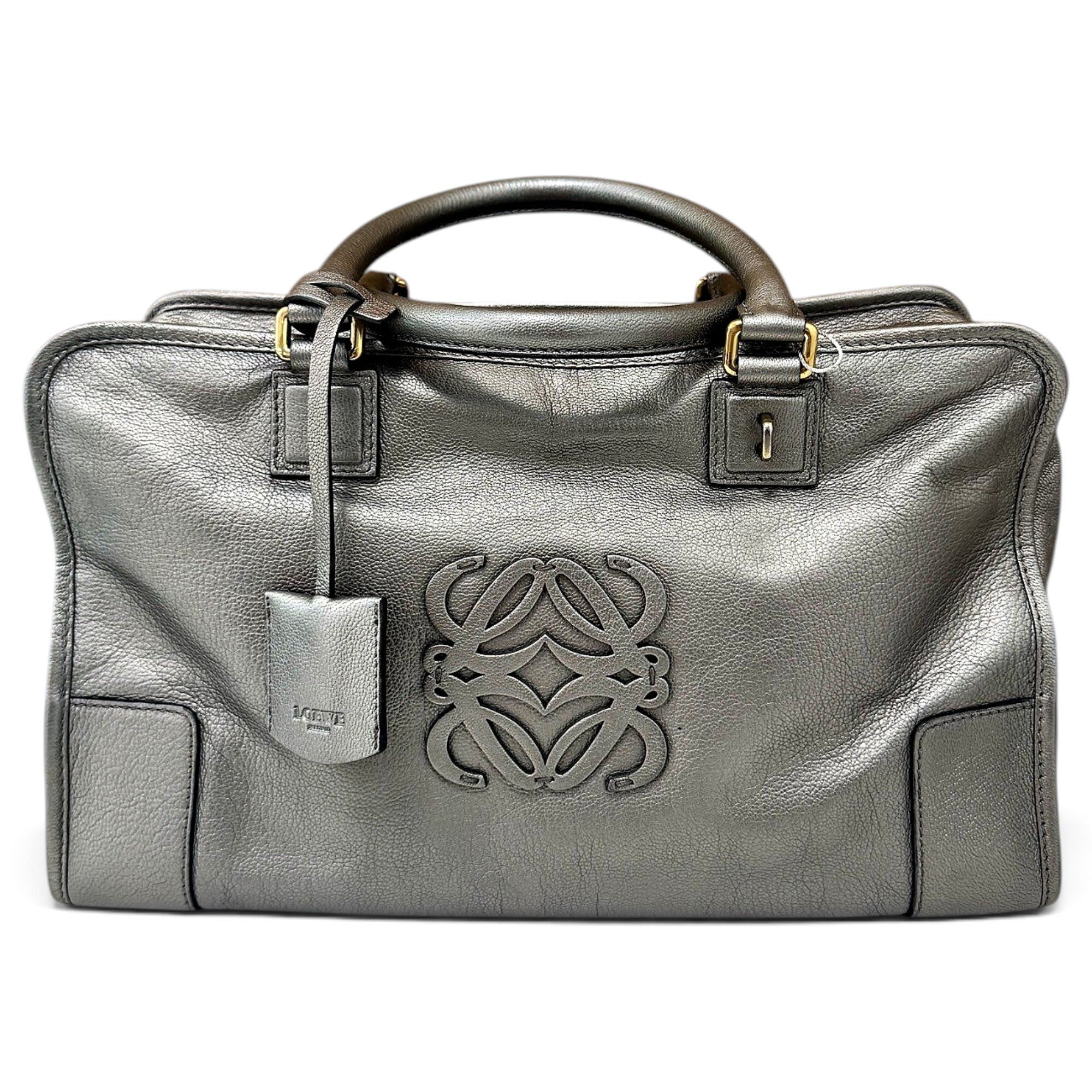 Amazona leather handbag