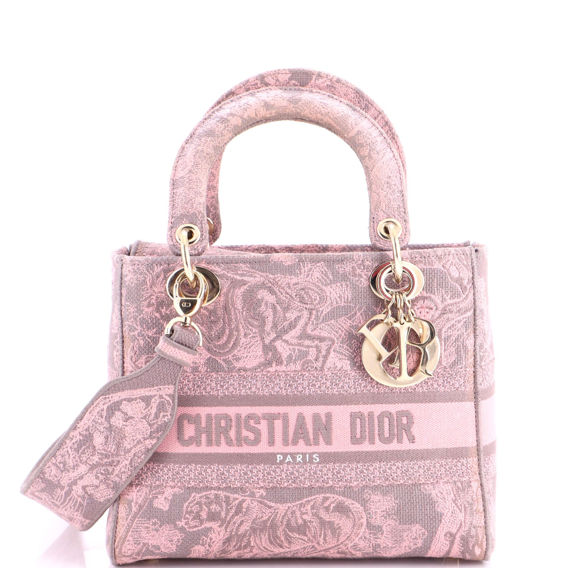 Lady D-Lite Bag Embroidered Canvas Medium