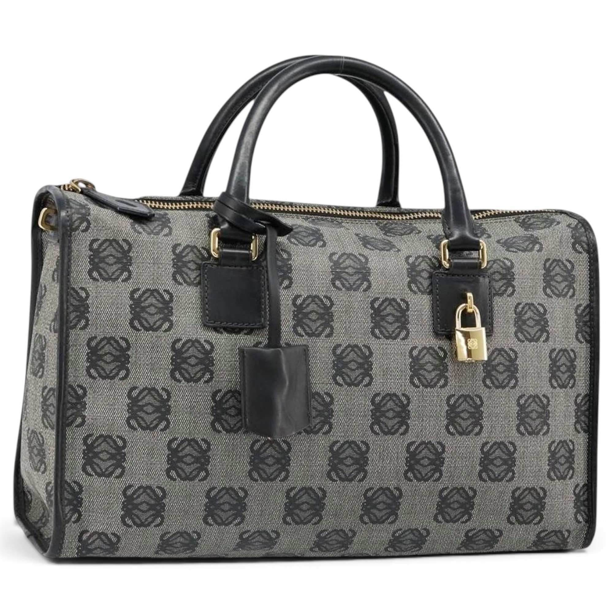 Amazona leather handbag