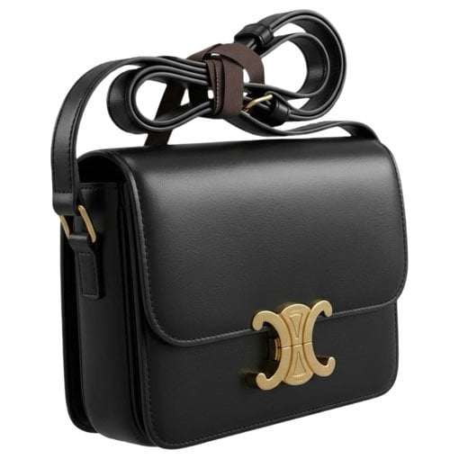 Triomphe leather handbag