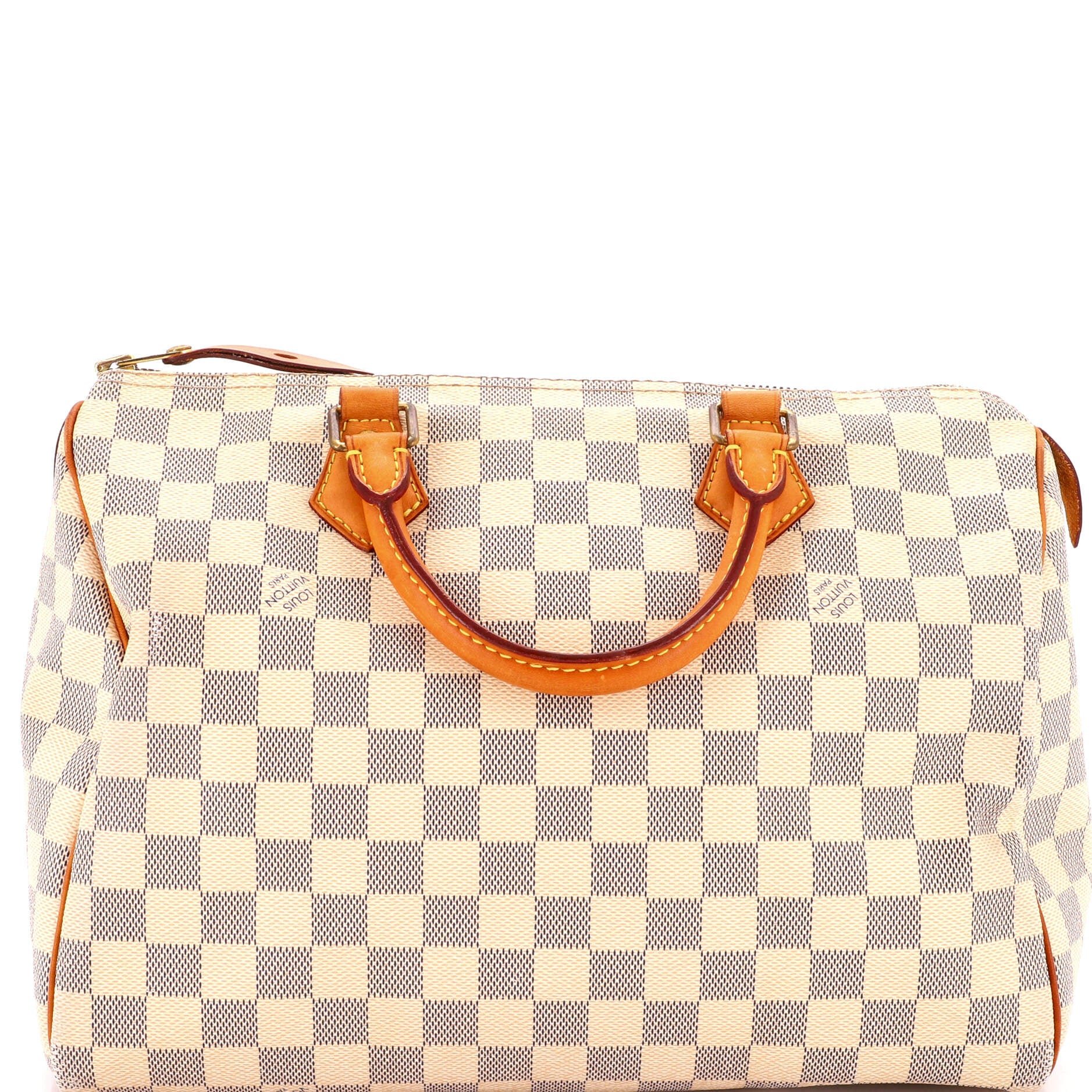 Speedy Handbag Damier 30
