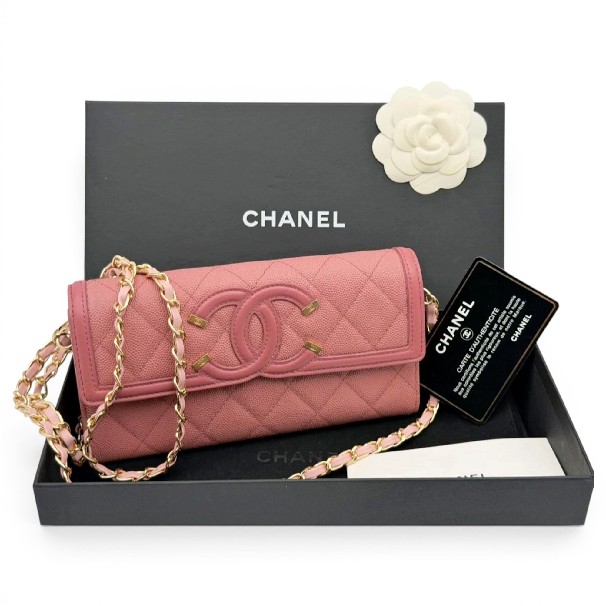 Trendy CC Wallet on Chain leather crossbody bag