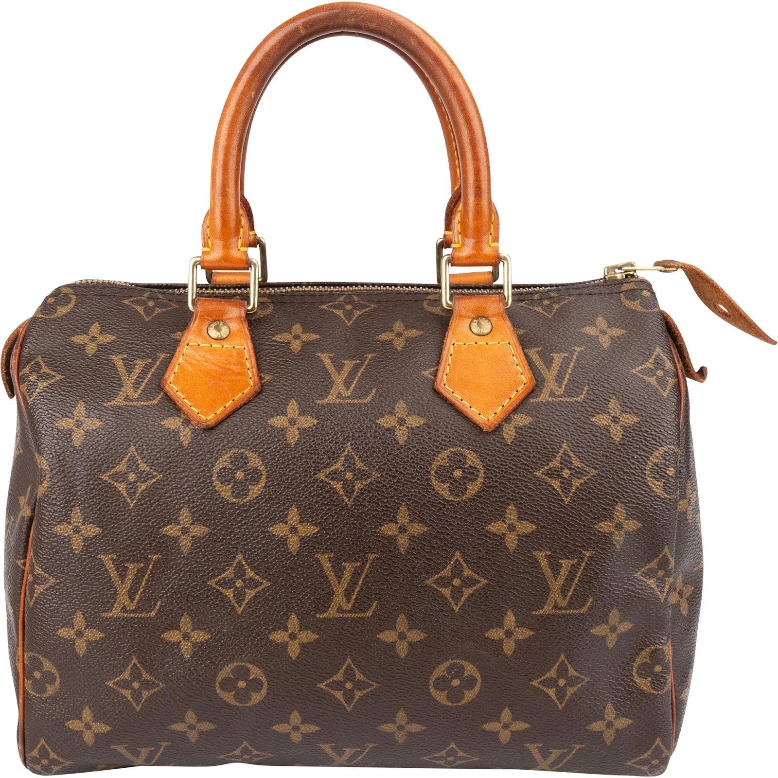 Louis Vuitton Speedy leather handbag