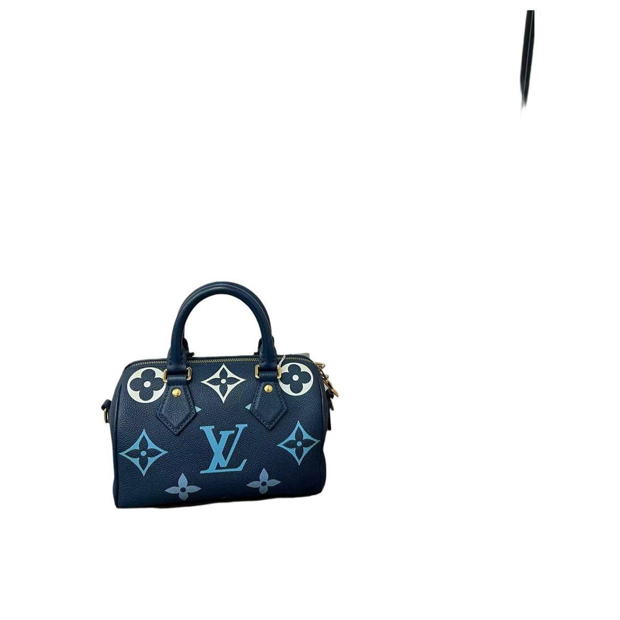 Nano Speedy / Mini HL leather handbag