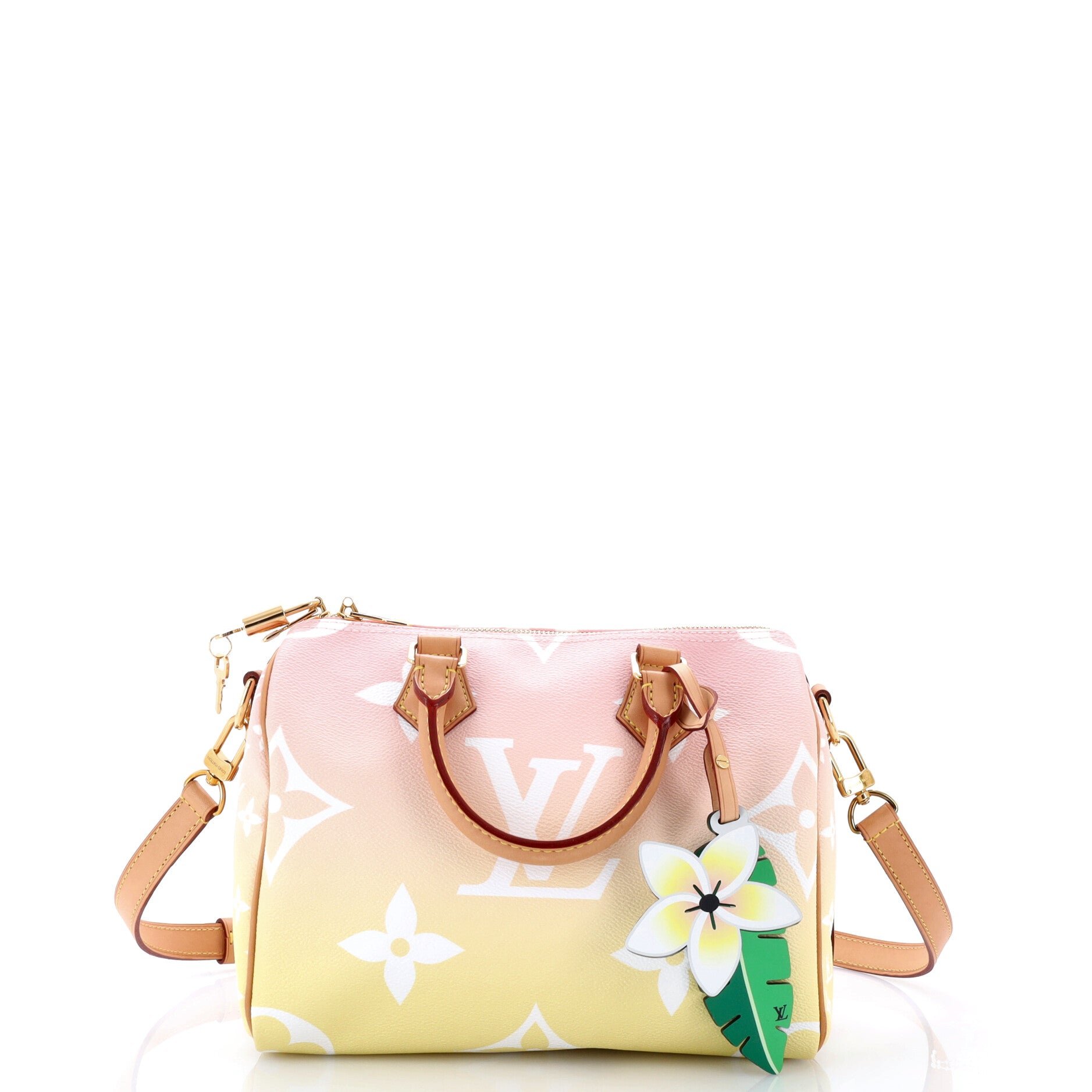 Speedy Bandouliere Bag By The Pool Monogram Giant 25