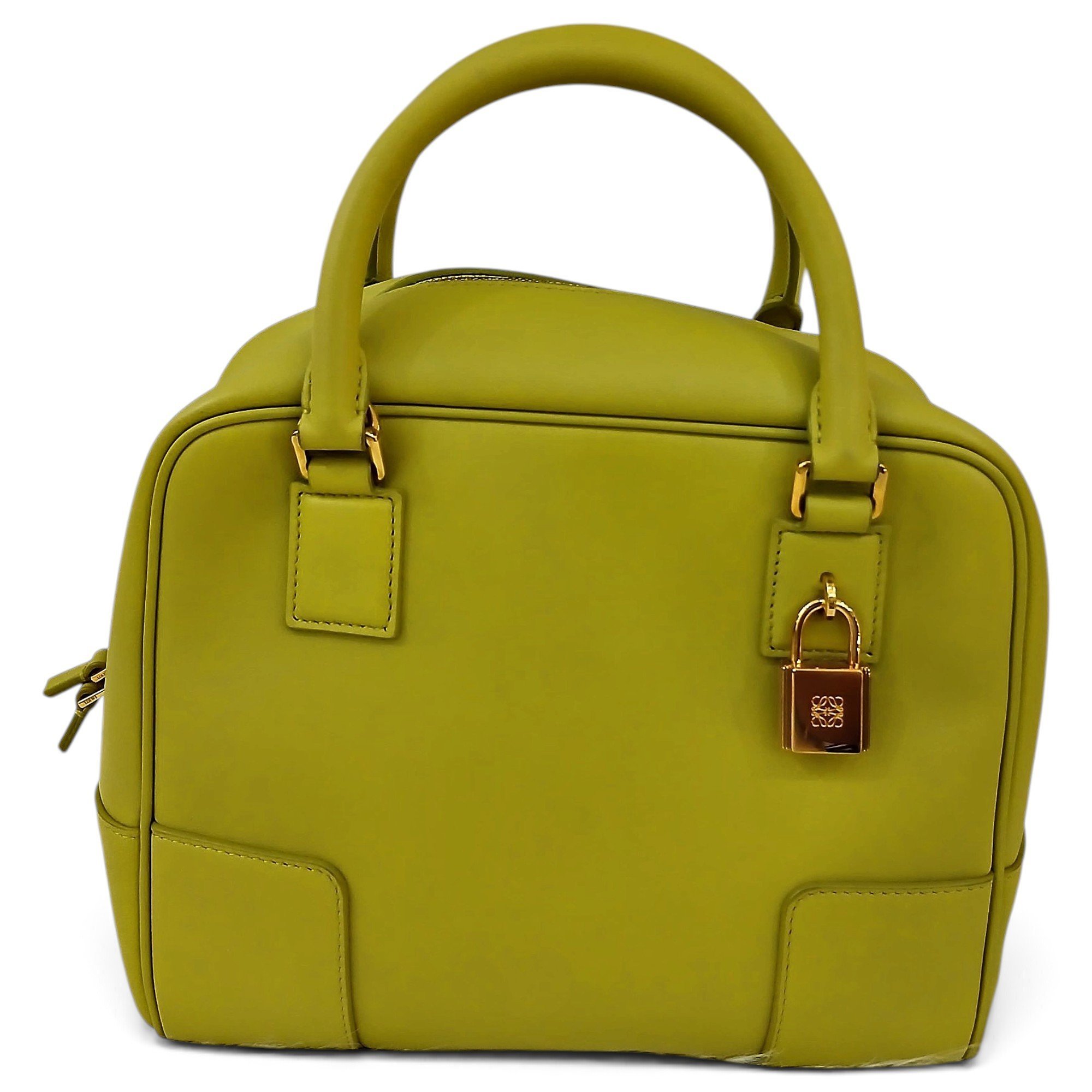 Amazona leather handbag