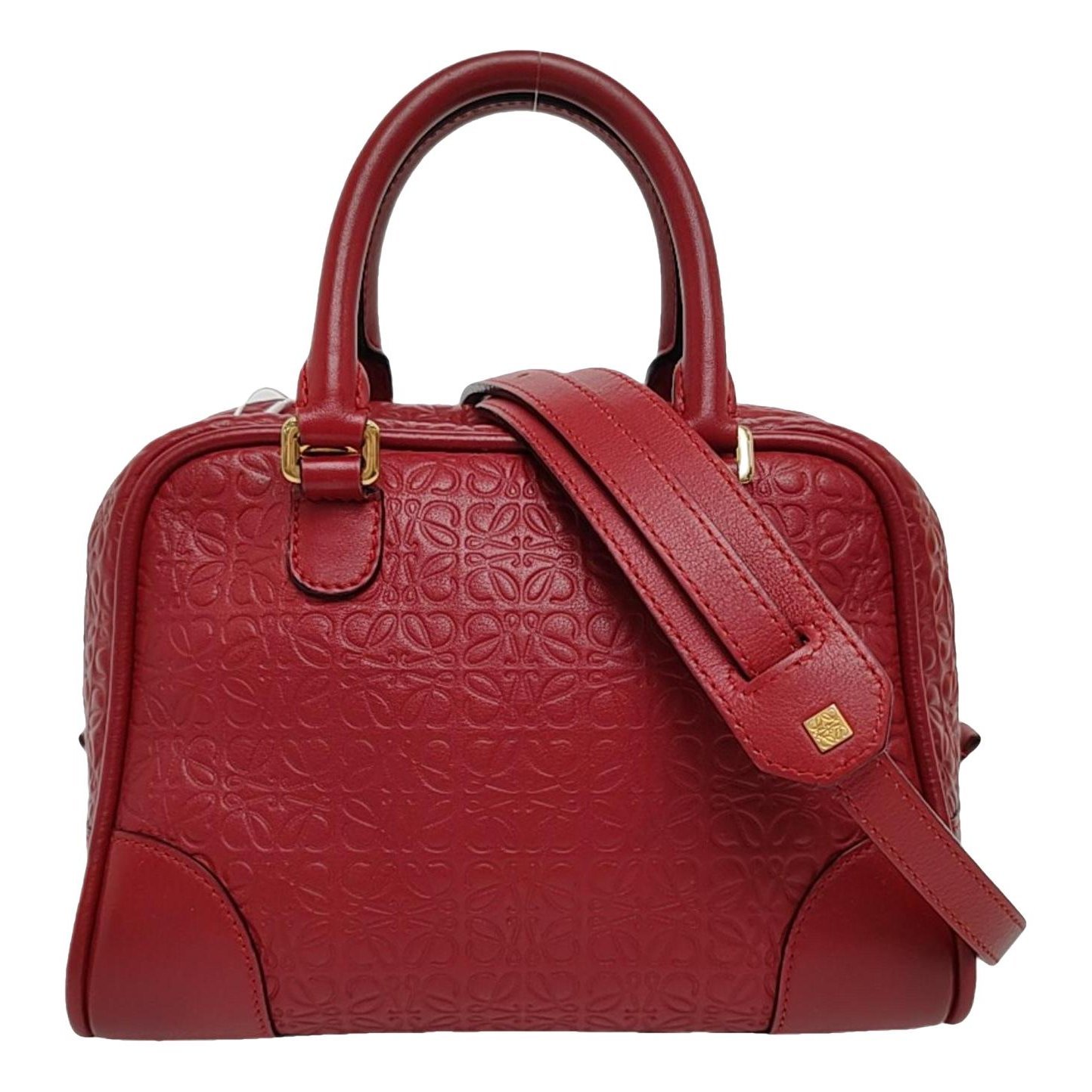 Amazona 75 leather handbag