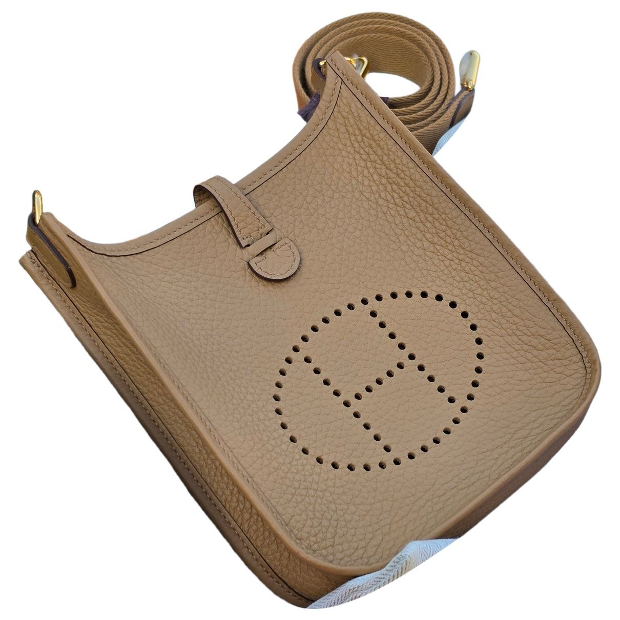 Mini Evelyne leather crossbody bag