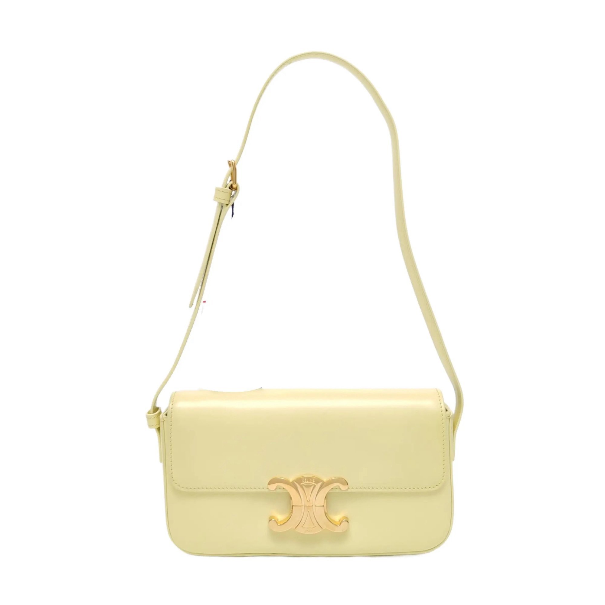 Triomphe Long leather handbag