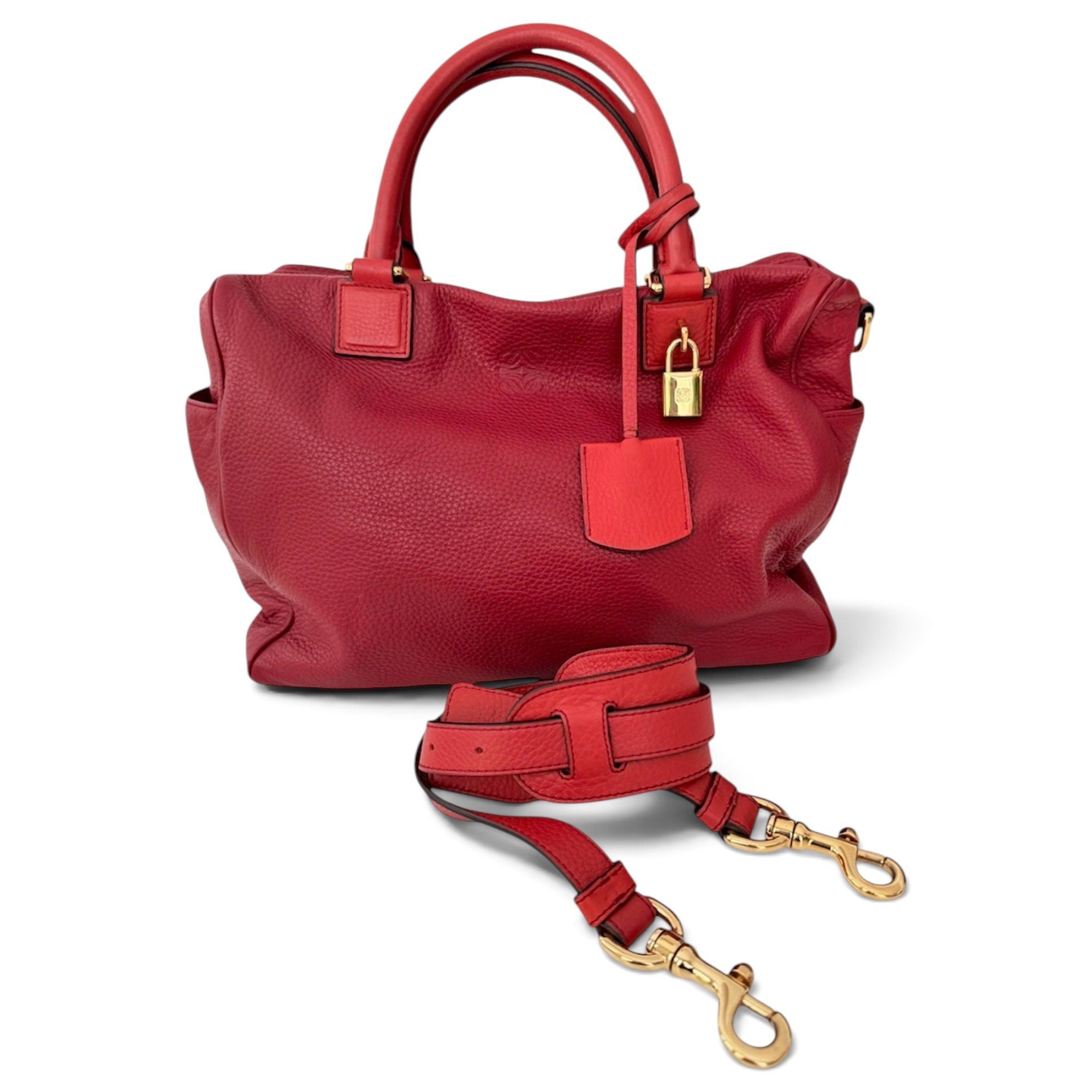 Amazona leather handbag