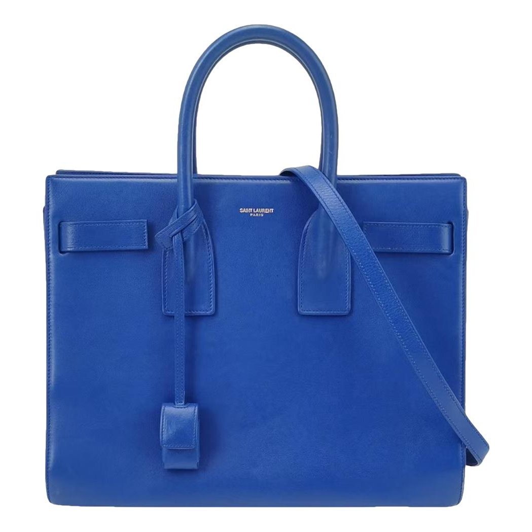 Sac de Jour leather handbag