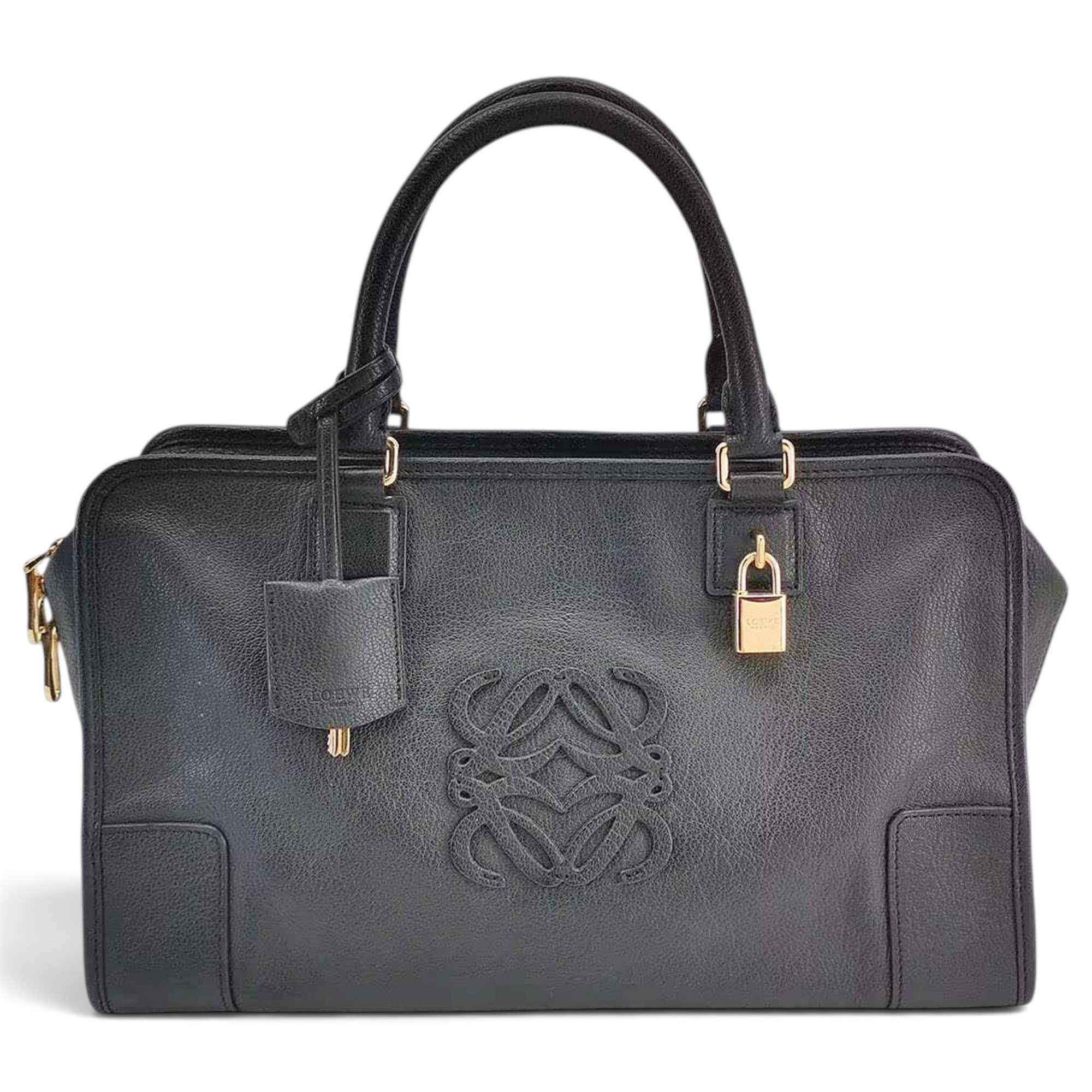 Amazona leather handbag
