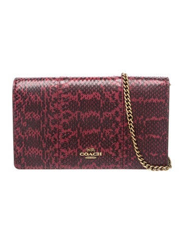 Snakeskin Clutch
