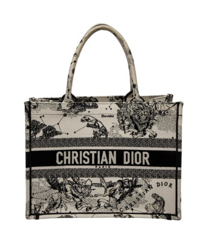 Dior Dior Canvas Book Medium 2022