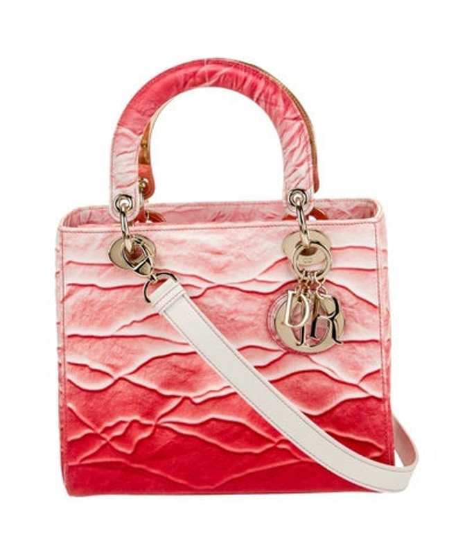 Dior Dior Canvas Lady Dior 2022