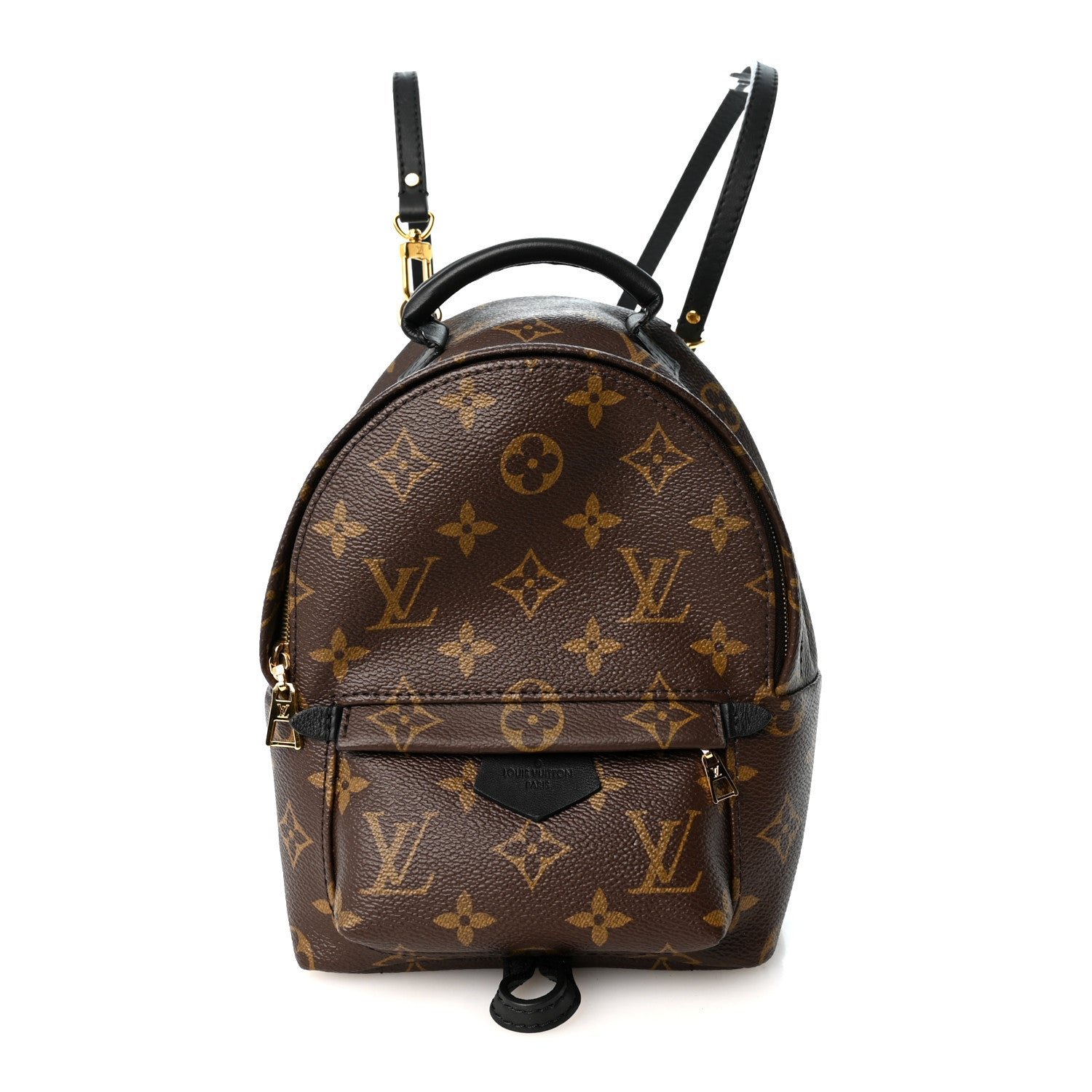 Louis Vuitton Monogram Palm Springs Backpack Mini