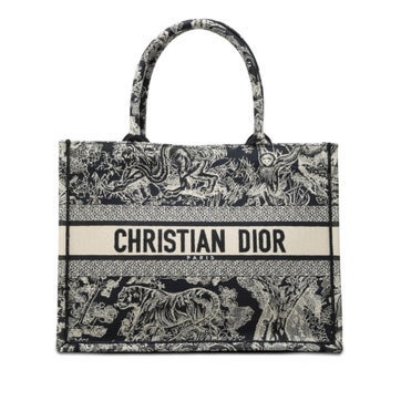 Medium Canvas Embroidered Dioriviera Toile De Jouy Book Tote