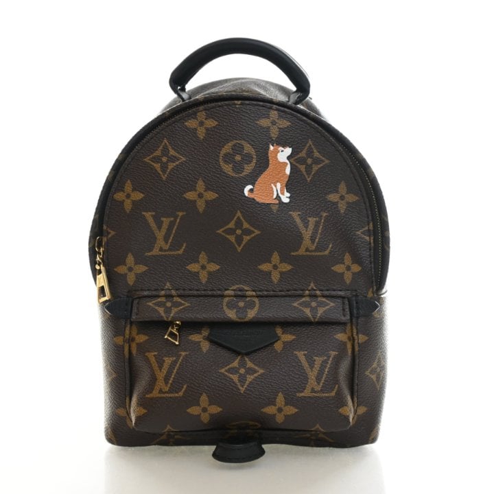 Louis Vuitton Monogram Palm Springs Mini