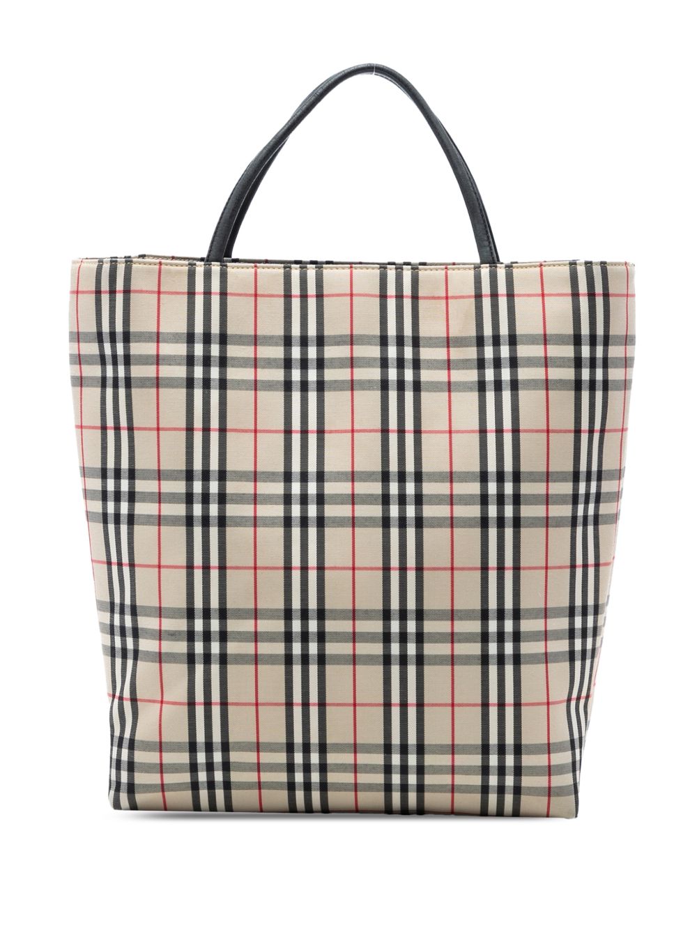 2018-2023 House Check Canvas tote bag