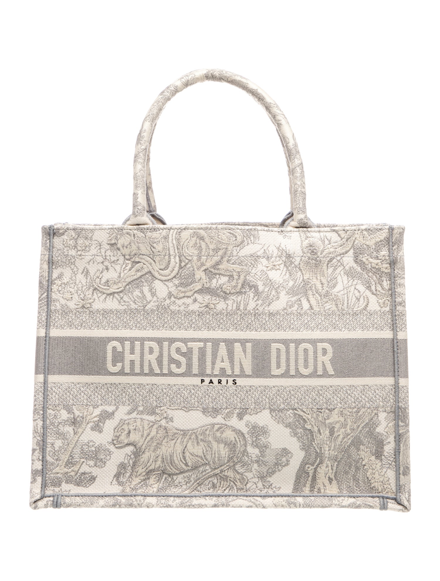 Dior Canvas Book Medium 2023
