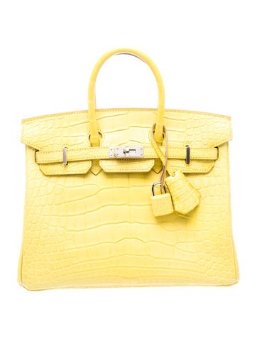 Matte Alligator Birkin 25
