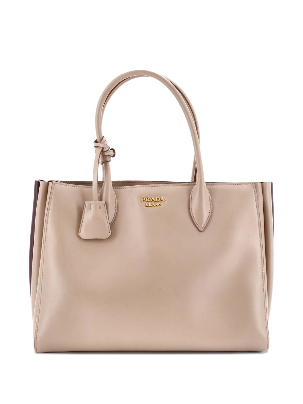 Soft Bibliotheque City Calfskin Medium tote bag