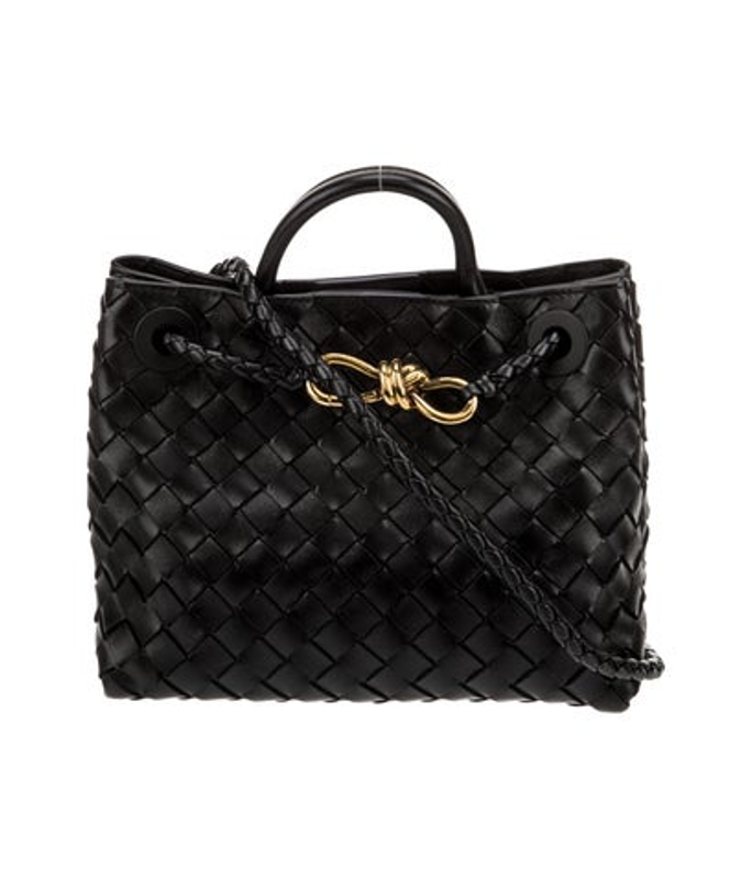 Bottega Veneta Veneta Intrecciato Andiamo Small