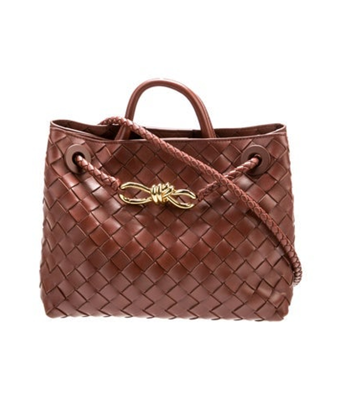 Bottega Veneta Veneta Intrecciato Andiamo Small