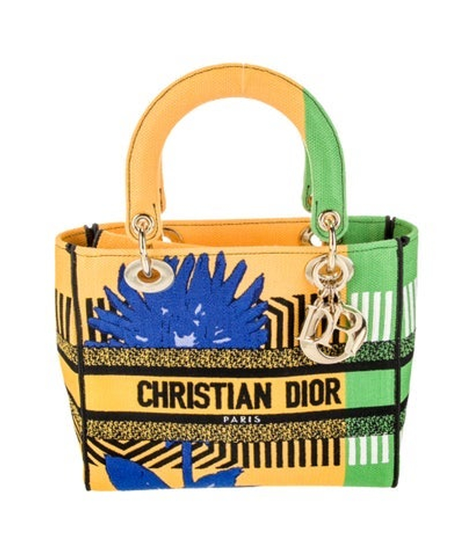 Dior Dior Canvas D Lite Medium 2022