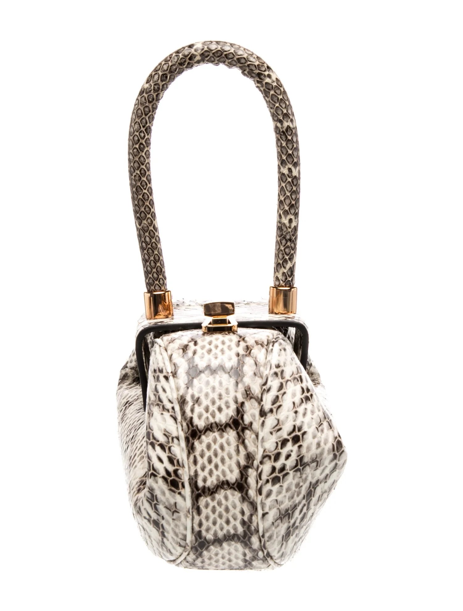 Python Snakeskin / Python Top Handle Bag