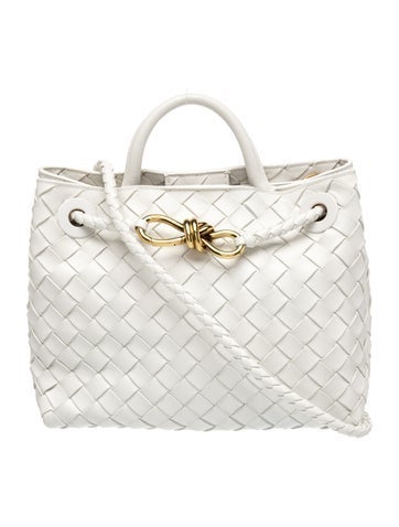 Bottega Veneta Intrecciato Andiamo Small