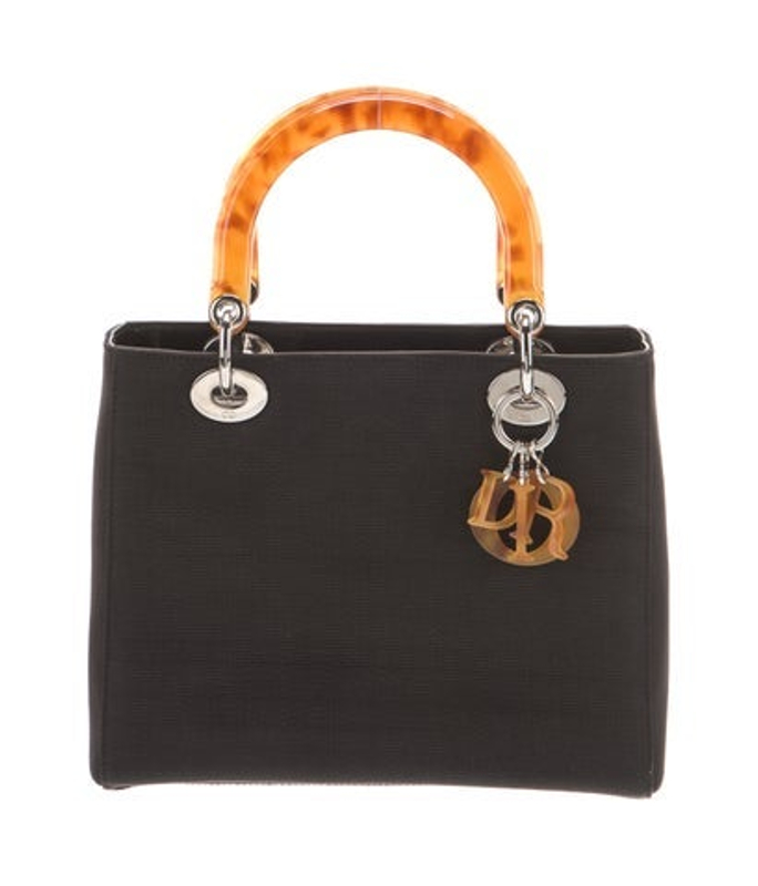 Dior Dior Canvas Lady Dior