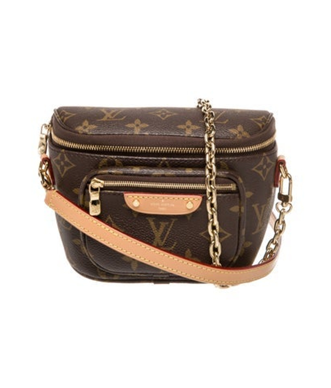 Louis Vuitton Vuitton Lv Monogram Bumbag Mini