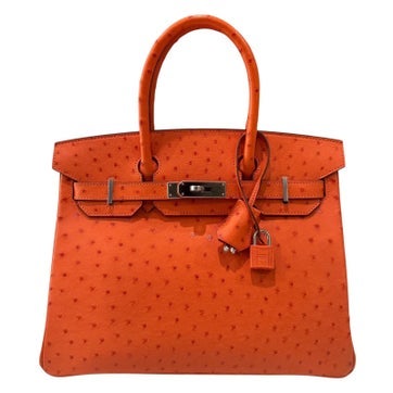 Ostrich Birkin 30