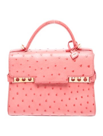 Delvaux Ostrich Top Handle Bag