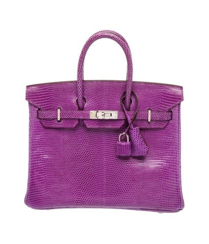 Hermes Varanus Niloticus Lizard Birkin 25