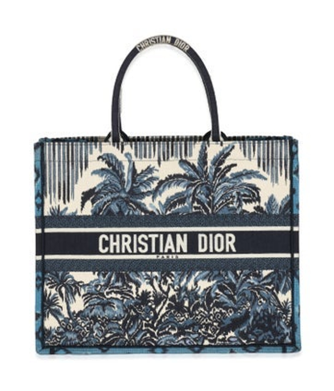 Dior Dior Large Canvas Book Tote