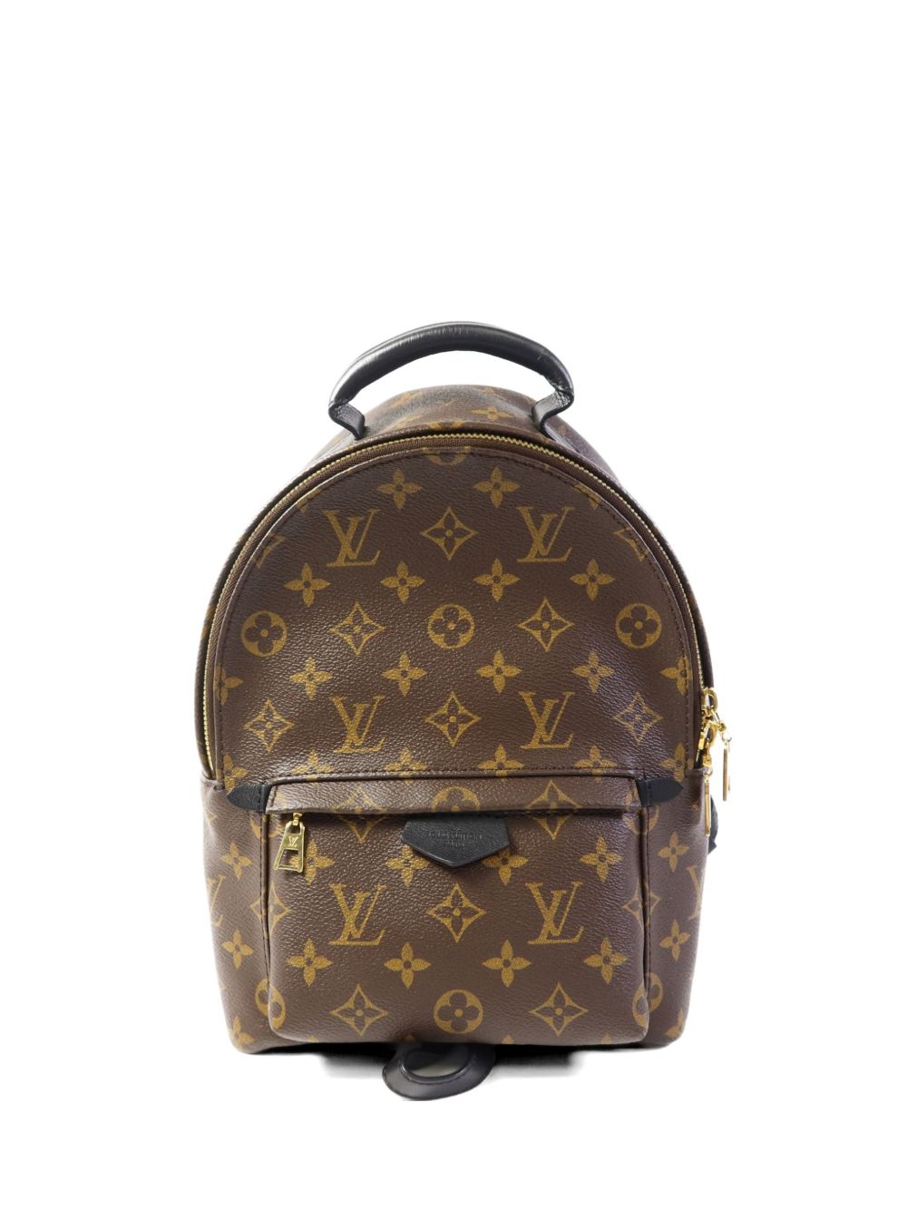 Palm Springs backpack