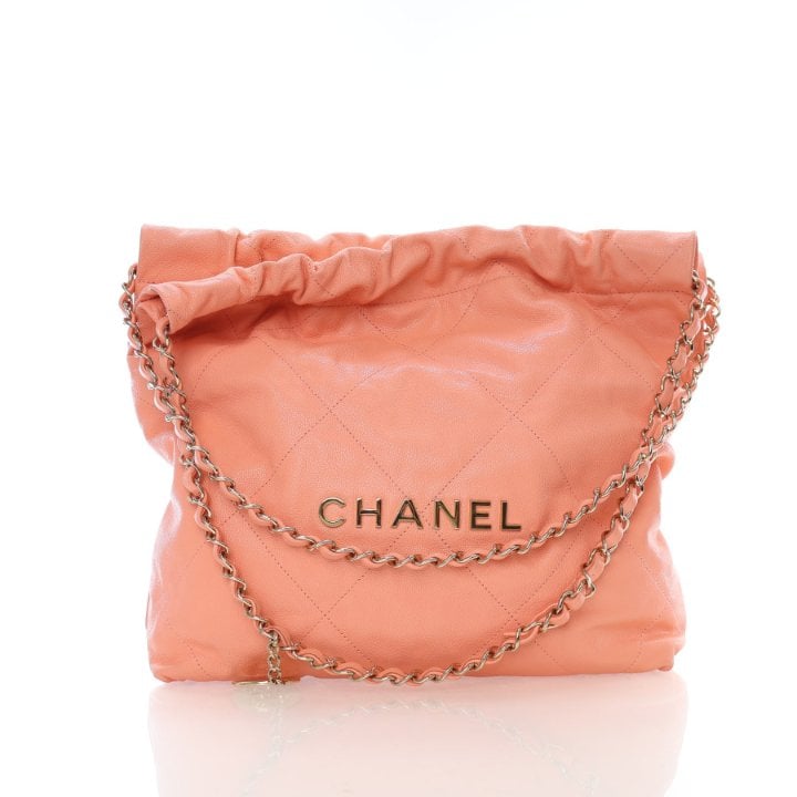 Chanel Small Caviar 22 Hobo