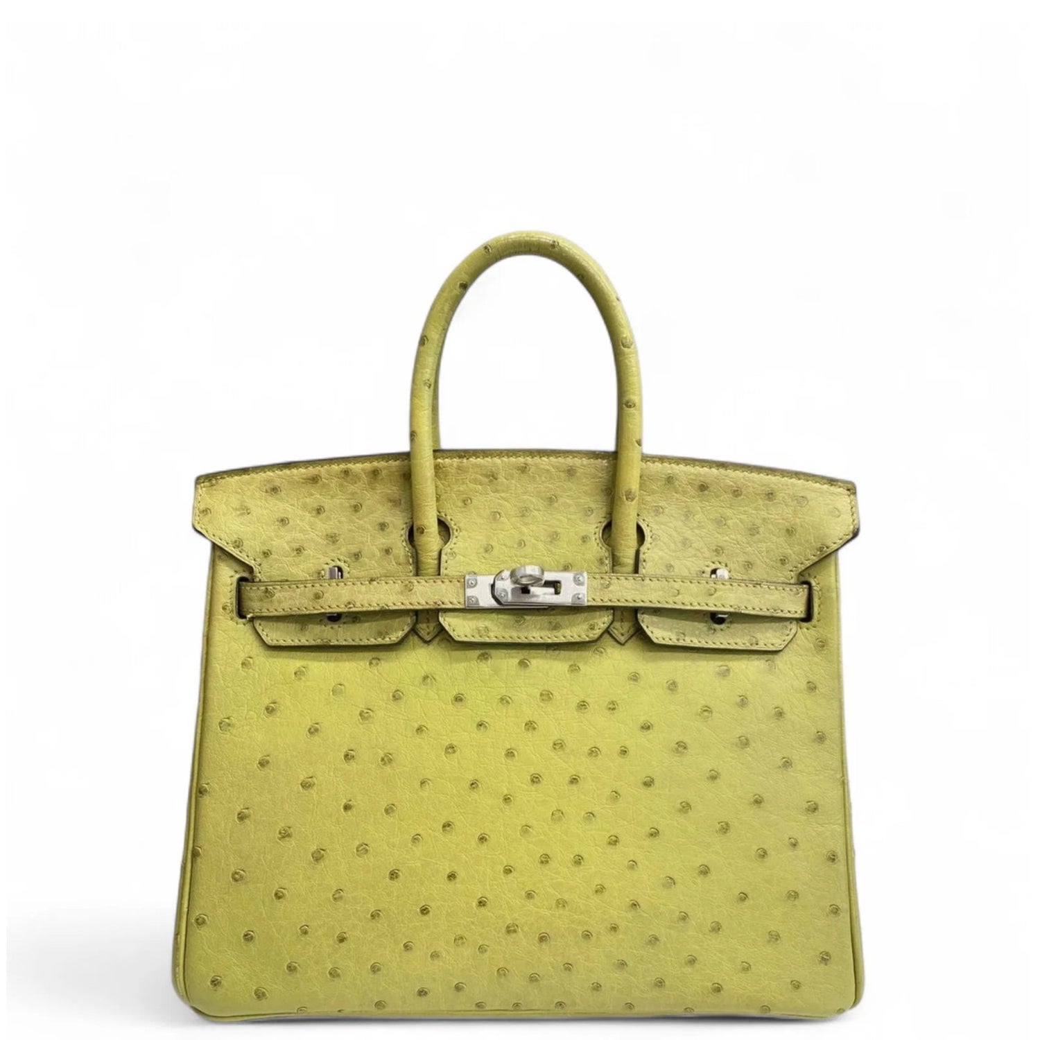 Ostrich Birkin 25