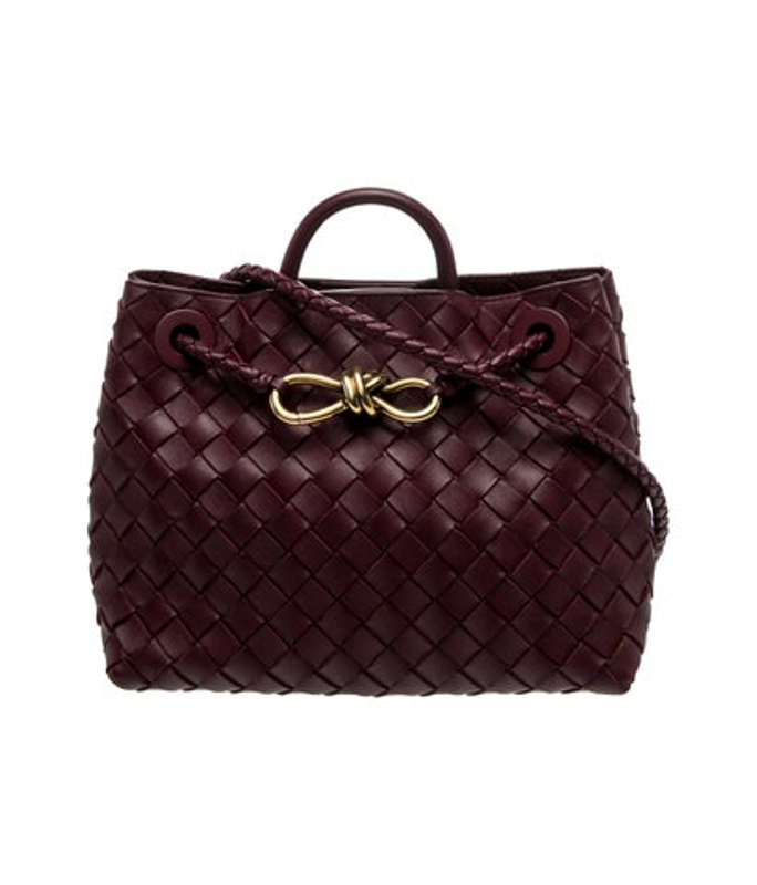 Bottega Veneta Veneta Intrecciato Andiamo Small