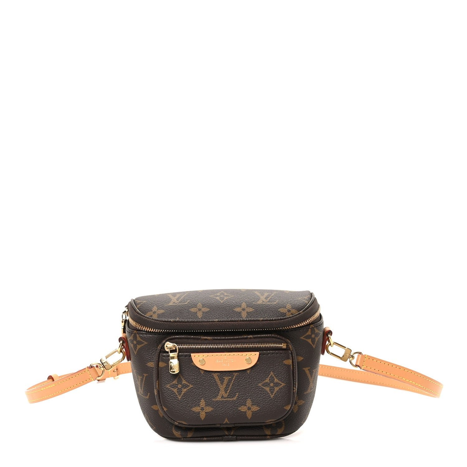 Louis Vuitton Louis Vuitton Monogram Mini Bumbag