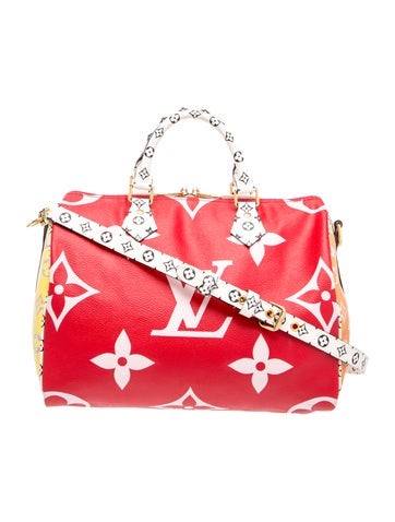 Louis Vuitton Monogram Giant Speedy Bandouliere 30