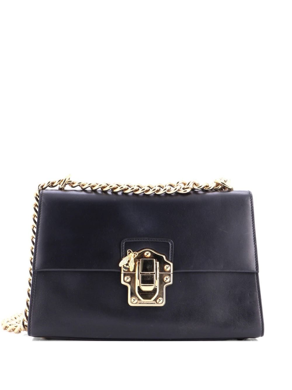 Lucia Chain Flap Bag Leather Large shoulder bag
